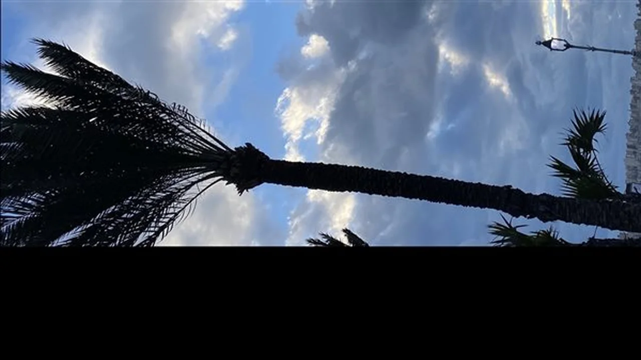 درجات الحرارة في القاهرة تسجل 11 مئوية وسط طقس دافئ نهار الأحد